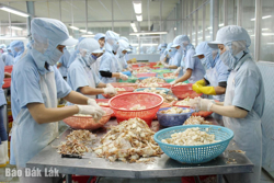 Đắk Lắk: Tăng trưởng kinh tế 9 tháng đầu năm đạt 6,9%, dịch vụ tiếp tục là điểm sáng