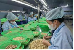 Chủ động để hàng Việt vươn xa