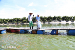 "Vua cá" trên sông Sêrêpốk