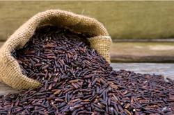 Loại gạo "quý" của người châu Á chống tiểu đường, cholesterol cực tốt