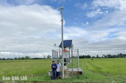 Giám sát côn trùng bằng AI: Giải pháp đột phá cho nông nghiệp xanh