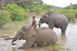 Nhiều dự án du lịch Đắk Lắk được tháo gỡ khó khăn, thúc đẩy đầu tư phát triển
