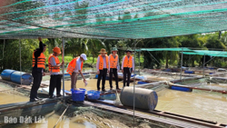 Người nuôi cá lồng bè ở Ea Na thiệt hại trên 3,3 tỷ đồng sau bão số 13