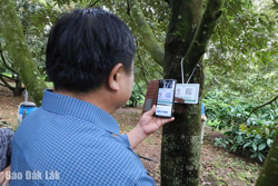 Xây dựng chuỗi giá trị minh bạch cho sầu riêng