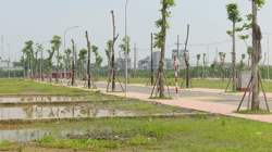 Quy định mới nhất về tiền sử dụng đất, miễn giảm thuế đất