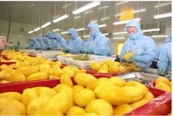 Rau quả Việt tăng tốc xuất khẩu