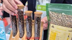 Giá cà phê hôm nay 14 -11: Tiếp tục rớt giá