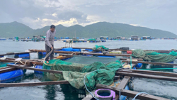 Tăng cường quản lý, chấn chỉnh hoạt động nuôi trồng thủy sản trên địa bàn tỉnh