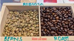 Giá cà phê hôm nay 18-11: Bật tăng dữ dội