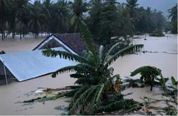 Lũ lên nhanh, Chủ tịch UBND tỉnh Đắk Lắk yêu cầu cứu nhân dân trên hết