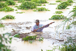 Đưa người dân đến nơi an toàn, khẩn trương khắc phục hậu quả mưa lũ