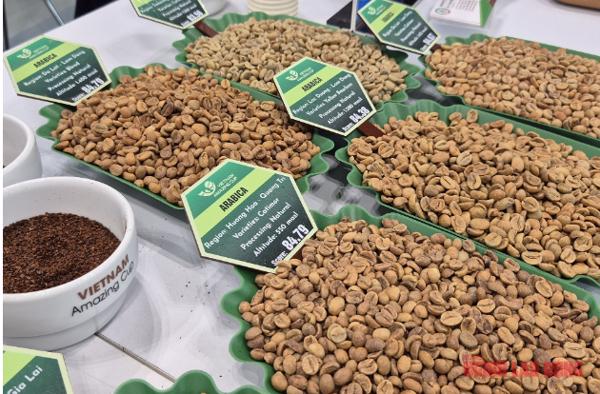 Giá cà phê hôm nay 20-11: Robusta giữ giá tốt