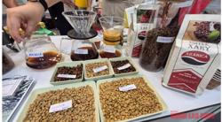 Giá cà phê hôm nay 24-11: Tuần mới sẽ ra sao?