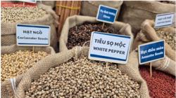 5 ngành hàng tỉ đô kiến nghị Quốc hội gỡ khó