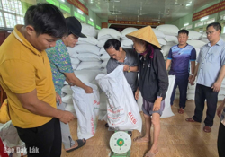 Dốc sức hỗ trợ người dân tái thiết cuộc sống