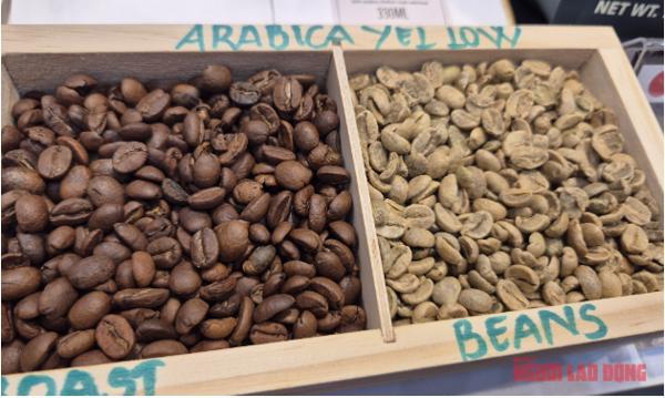 Giá cà phê hôm nay 25-11: Robusta đột ngột đi xuống, Arabica tăng mạnh