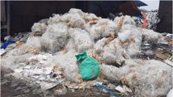 Sàn giao dịch số cho nhựa tái chế