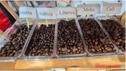 Giá cà phê hôm nay 26-11: Tăng 3 con số trở lại