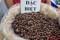 Giá cà phê hôm nay 27-11: Đảo chiều giảm trở lại