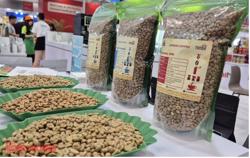 Giá cà phê hôm nay 28-11: Tăng trở lại, Malaysia mê cà phê Việt
