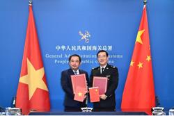 Mít tươi được phép xuất khẩu chính ngạch sang Trung Quốc