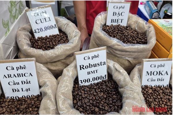Giá cà phê hôm nay 29-11: Thêm phiên tăng và định hướng mới của cà phê Việt
