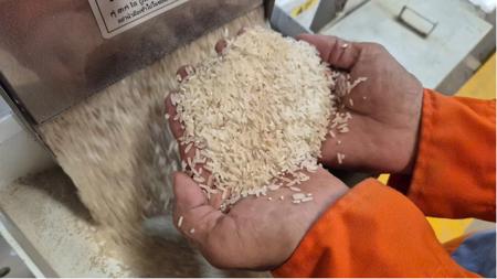 Những loại gạo nào có cơ hội ở thị trường nhập khẩu gạo tới 90%?