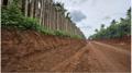 Chuyển hồ sơ công an điều tra vụ đào đường lấy đất "khó hiểu" ở Đắk Lắk
