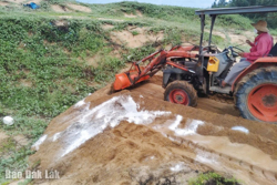 Cơ bản khống chế dịch tả heo châu Phi ở phường Hòa Hiệp