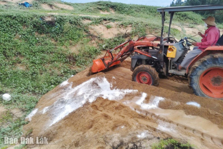 Cơ bản khống chế dịch tả heo châu Phi ở phường Hòa Hiệp