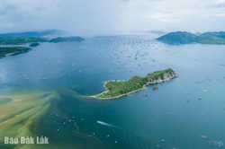 Xây dựng ngành hàng thủy sản minh bạch và trách nhiệm