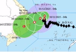 Bão số 15 giật cấp 11, "đi bộ" trên Biển Đông