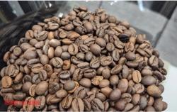 Giá cà phê hôm nay 4-11: Tăng vọt