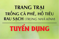 Trang trại trồng Cà phê, Hồ tiêu, Rau sạch trong nhà kính tại thôn 16, xã Ea Ning, Huyện Cư Kuin, Tỉnh Đăk Lăk (gần chợ Việt Đức) thông báo tuyển dụng