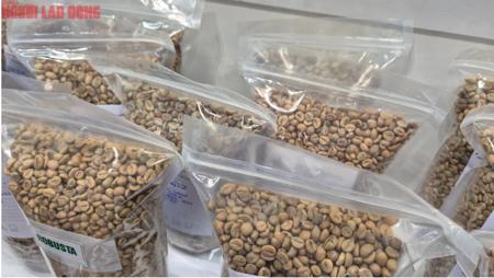 Giá cà phê hôm nay 5-11: Cà phê Việt được săn đón