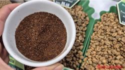 Giá cà phê hôm nay 7-11: Bất ngờ bốc hơi 3 con số