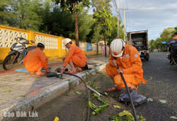 Đắk Lắk: Hơn 21.700 khách hàng đã được khôi phục cấp điện sau bão số 13
