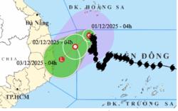 Bão số 15 suy yếu thành áp thấp nhiệt đới, dự báo nhiều tỉnh, thành miền Trung sắp mưa lớn