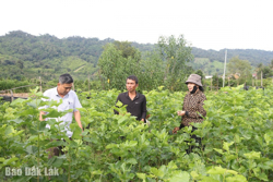 Xã Nam Ka: Phát huy hiệu quả quản lý, sử dụng nguồn lực giảm nghèo