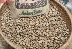 Giá cà phê hôm nay 10-12: Cắt mạch giảm sau 6 phiên