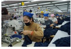 Tận dụng cơ hội từ VIFTA