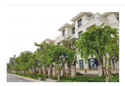 Tin vui cho người mua bán bất động sản và cho thuê nhà