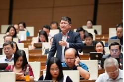 Thuế VAT phân bón: Đại biểu đề nghị đưa trở lại nhóm không chịu thuế