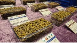 Giá cà phê hôm nay 11-12: Tăng nhưng nông dân ít mở rộng diện tích