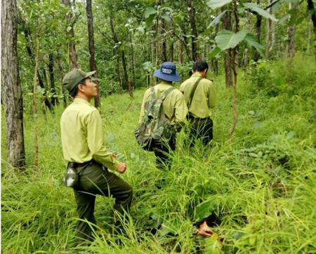 Gian nan giữ rừng Yok Đôn