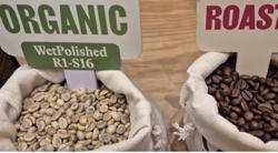 Giá cà phê hôm nay 12-12: Tin vui lớn của ngành cà phê