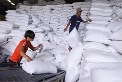 Tháo điểm nghẽn, tạo đà xuất khẩu gạo bền vững