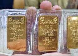 Sáng 13-12, giá vàng miếng SJC và vàng nhẫn cao nhất từ trước đến nay
