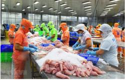 EU tăng cường kiểm tra và giám sát nhập khẩu nông sản – thực phẩm