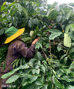 Rà soát hộ nghèo, cơ sở cho chính sách giảm nghèo giai đoạn mới